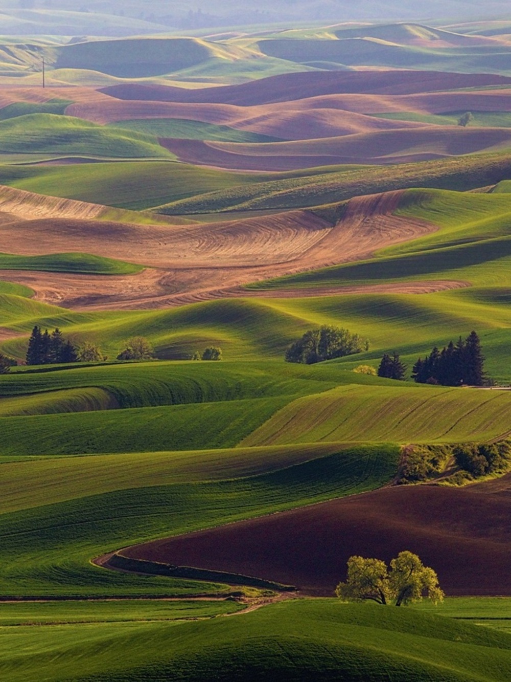 Meet your Posher, Kaitlin